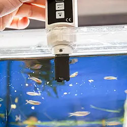 pce-instruments-dissolved-oxygen-meter-pce-dom-10-5956228_1619358.webp