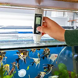 pce-instruments-dissolved-oxygen-meter-pce-dom-10-5956228_1619359.webp